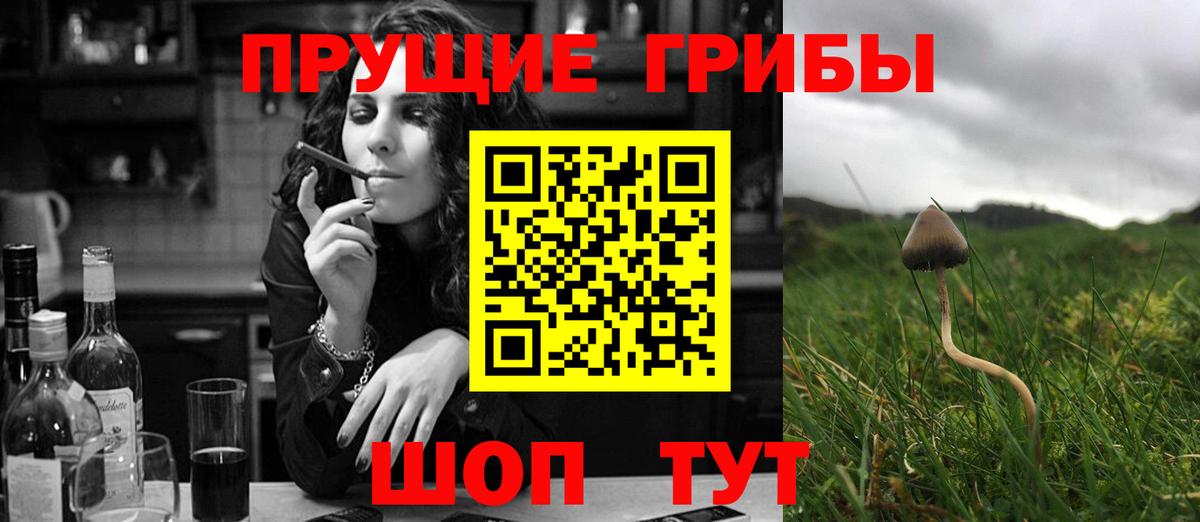 Галлюциногенные грибы Psilocybe Ангарск